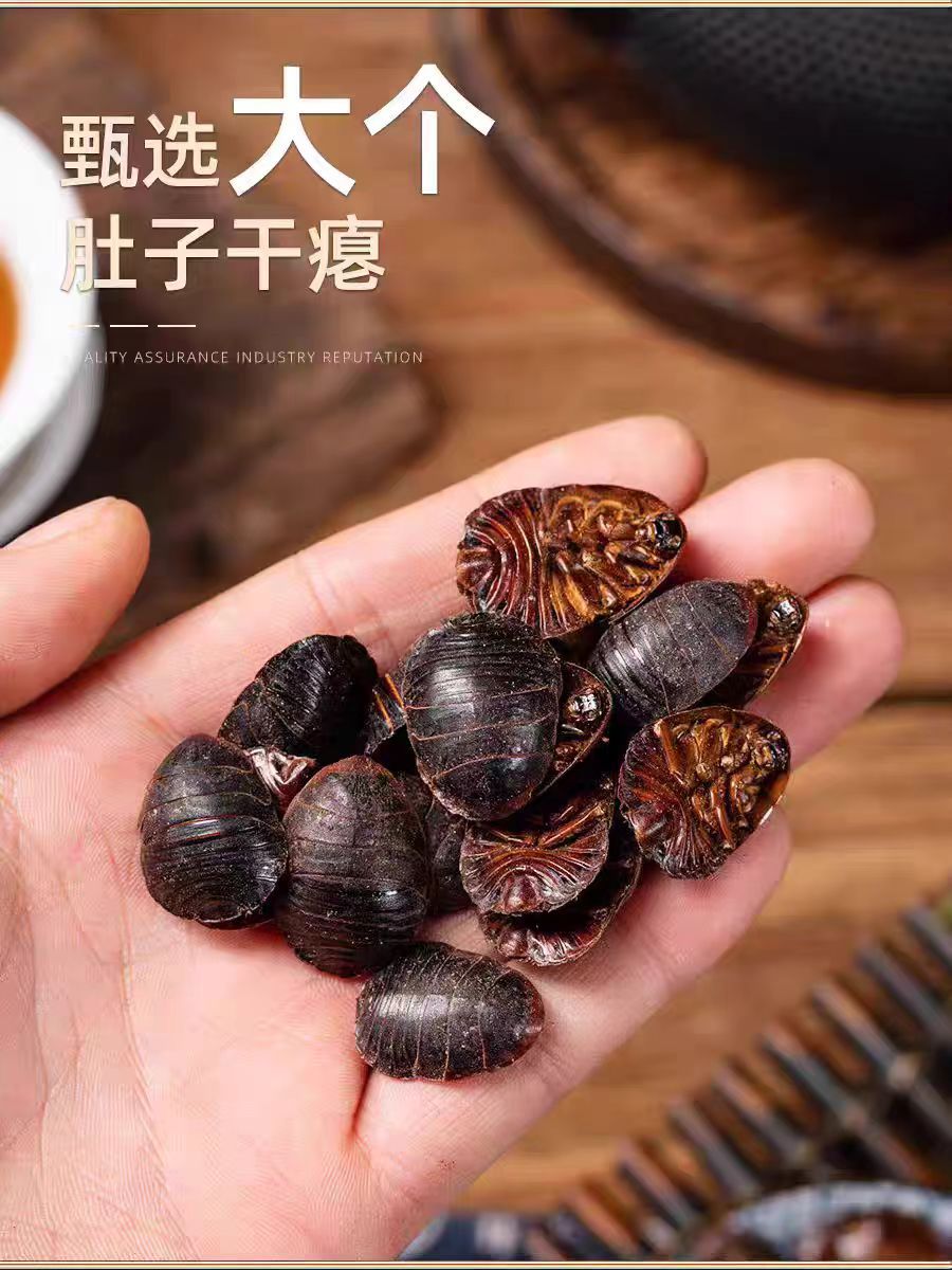 Tu Yuan (Eupolyphaga sinensis) — Dried Ground Beetle Herb, 500g Food-Grade key features