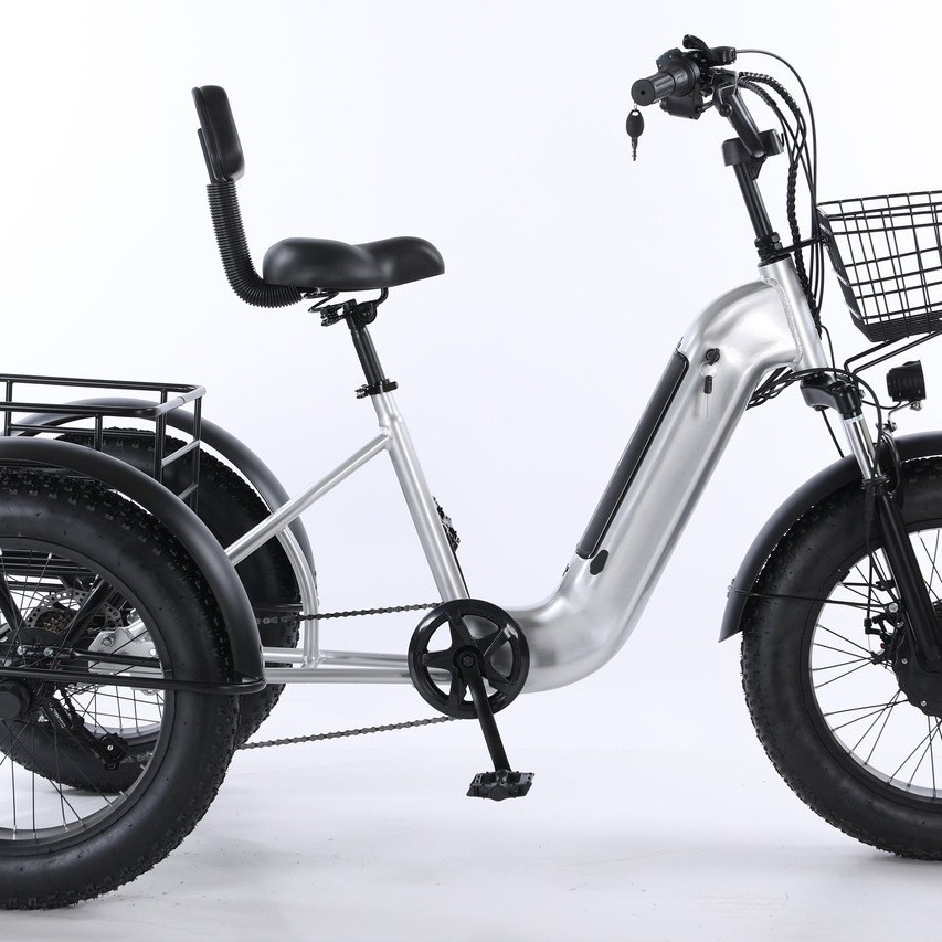 Электрический трехколесный велосипед Anhui Shuangliang Snow 24"