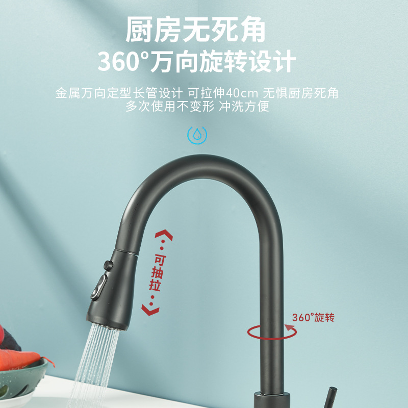 Vida canción transfronteriza grifo de la cocina caliente y fría de doble uso vegetal grifo de la fábrica suministro directo