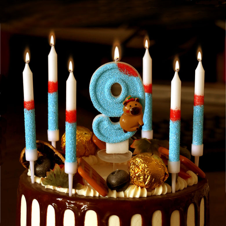跨境亚马逊套装数字生日蜡烛0-9卡皮巴拉卡通主题DIY生日蛋糕蜡烛|undefined
