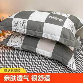 2025新款枕芯水洗棉枕套枕头套装一对单个48x74cm家用男成人单独