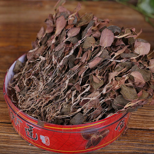 ����ɏ���ַ�Ұ����ɏ��Ş��5g