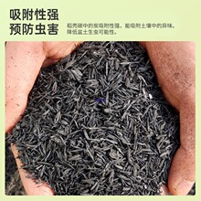 ����̿�w��Ѭ̼�Ț�̼��ľ���F��ɏ�@ˇ����̿�������|