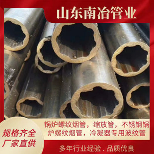 �S�ҬF؛���l���͹� ����䓹� ��λ��I����䓹� �E�A����䓹�