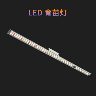 �a��ledֲ�����ݮ����100w�҃ȷNֲ�����L���lȫ���V�羳���՟�