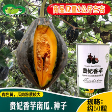 �F�������ϹϷN�� ������Ŵ���������ϹϷN���F���Ϲ��Ѳˈ@�߲�