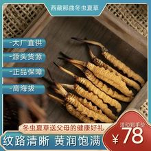 西藏那曲冬虫夏草冬虫草那曲虫草送父母虫草花干货批发一件代发