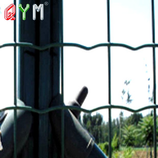 ���ܺ��m�W�ݾGɫ�z�W�����κ��m�W�o��Ȧ�؇�����β�������Q����