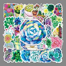 50张ins风卡通多肉植物个性DIY创意贴纸行李箱笔记本汽车装饰贴纸