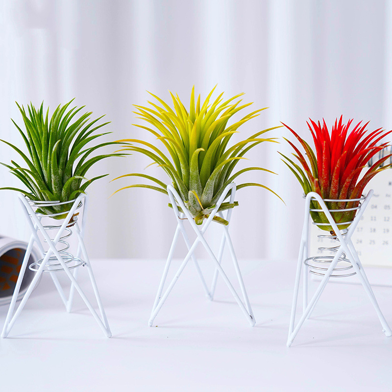 7763870a-f371-4ae5-b6db-77320dd0eac6.jpe