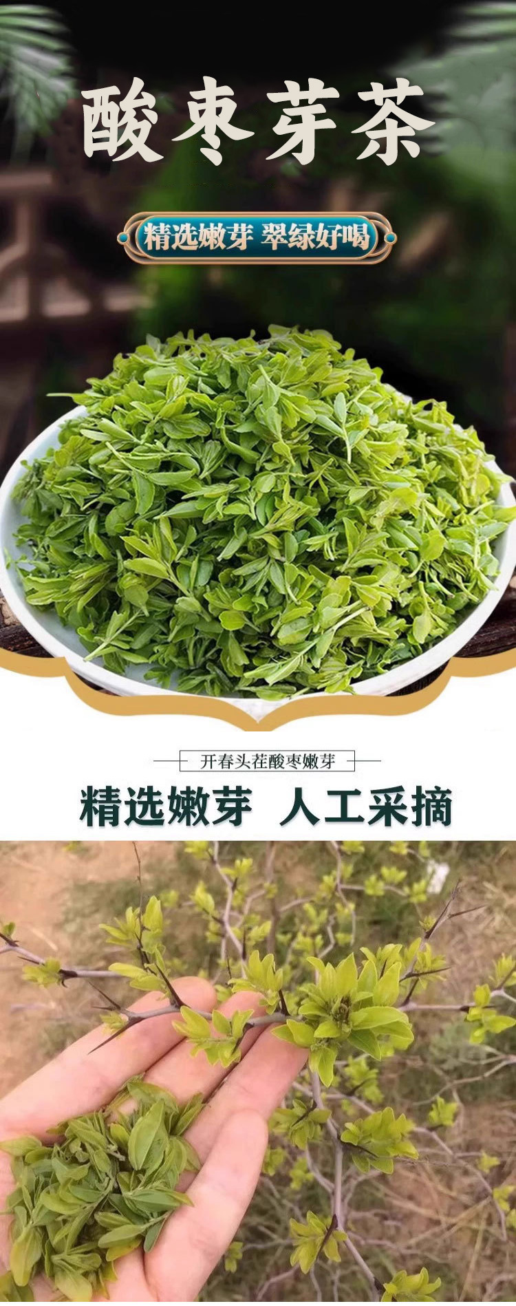 Sour Jujube Sprout Tea Suan Zao Ya Loose Herbal Tea 50g Canister New Harvest quality and texture