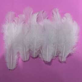 厂家批发羽毛鸡毛婆毛6-10厘米手工diy优质辅料婚庆家居服饰配件