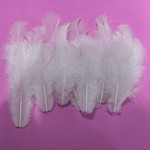 厂家批发羽毛鸡毛婆毛6-10厘米手工diy优质辅料婚庆家居服饰配件