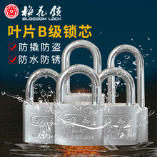 梅花锁 仓库车厢大门挂锁防锈防盗铁锁防水半包梁钢制叶片挂锁子
