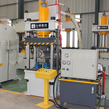 供应现货100吨200吨粉末成型液压机 全自动315吨鱼饵压块油压机
