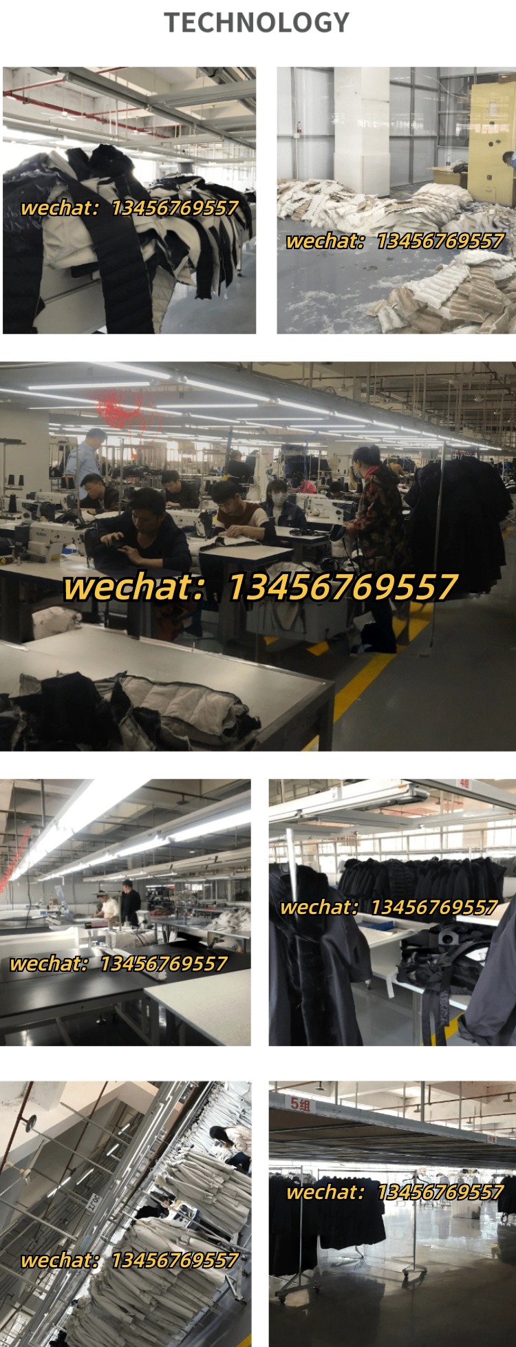 微信图片_20241104012553