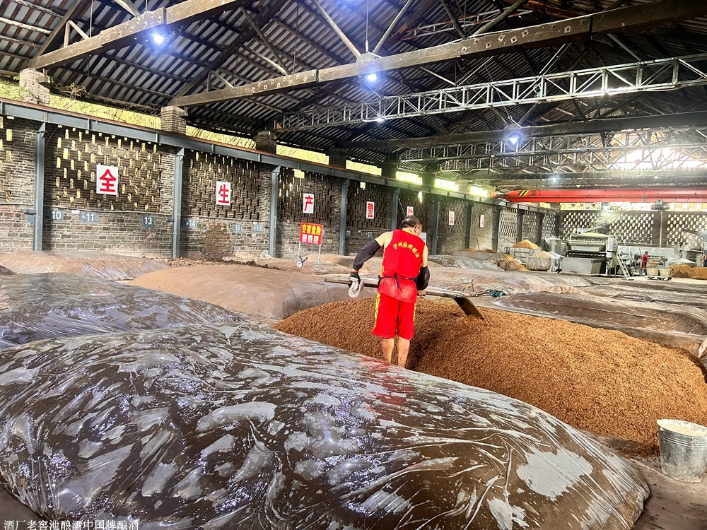 219b729e73f142ca97d2cf2323cd1c