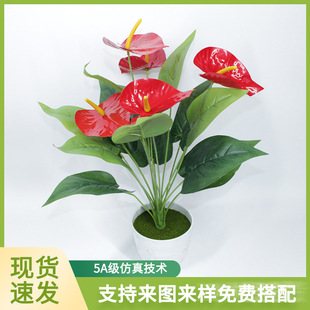 �羳�¿�18�^5����t�Ʒ��滨�Ҿ��bGֲ���Ի�c�zӰ���߼ٻ�