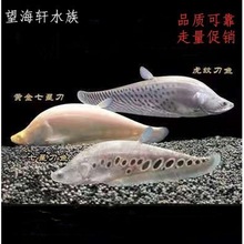 �Ꭷ�д��͵�ˮ�^�p�~���ǵ��~�׻��𵶻��y�����w�t�����~�Lˮ�~