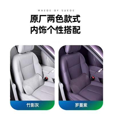 Headrest | and Lumbar Support, Same Model Headrest