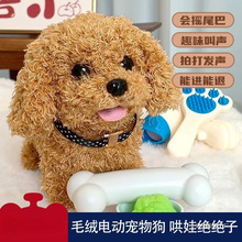 ͯëq늄ӹߕ·ﹷżŮ߶Y