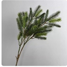 ����ɼ��֦���ɼ�t��ɼ��ɼ�}�Q�ɘ�֦����������b���ᘰؘ��~