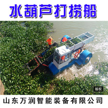 城市内河清漂船 水库水草治理船 水葫芦专-项打捞船