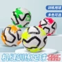 标准源头比赛专业足球