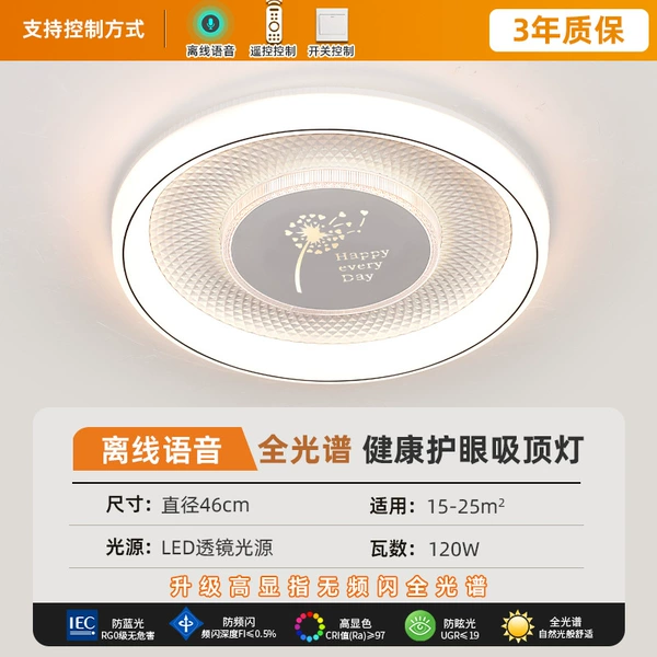 [蒲公英圆形46厘米离线语音]
