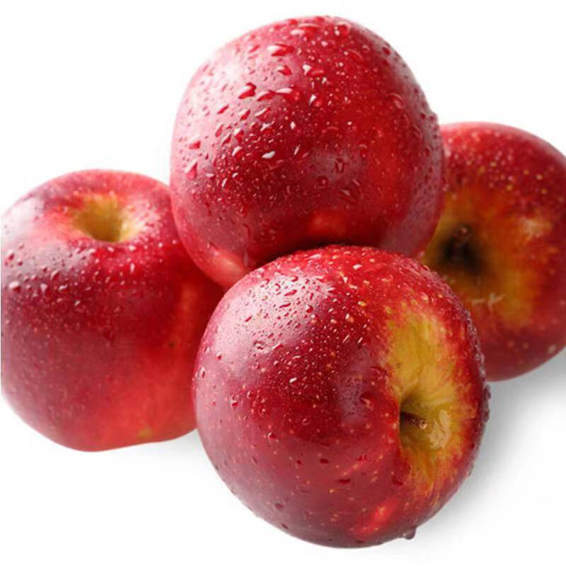 New Zealand Red Rose Apple 12 Apples Seasonal Fresh Fruit Crisp Sweet Apple Dropshipping New Zealand Red Rose Apple 12 Apples Seasonal Fresh Fruit Crisp Sweet Apple Dropshipping
