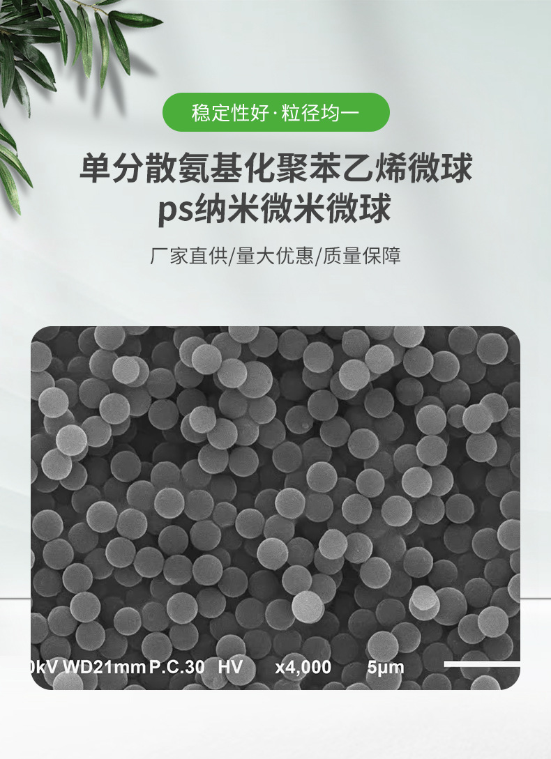 单分散氨基化聚苯乙烯微球PS纳米/微米微球 微塑料-阿里巴巴