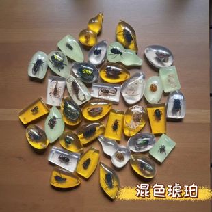 Insect Amber Specimen Scorpion Cicada Blind Box Children's Gift Textbook Learning Excavation Archaeological Pendant Accessories