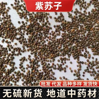 Herbals紫苏子中药材 新货紫苏子 紫苏籽 紫苏种子籽药批发代发
