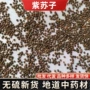 代发herbals紫苏中药材