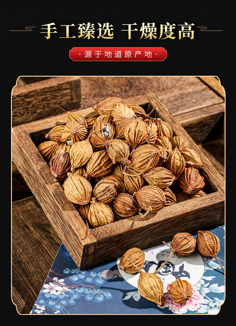 Xiang Sha (Amomum villosum-like Fruit) — Dried Culinary Spice for Stews & Braises, 500g quality and texture