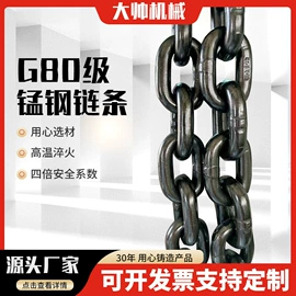 起重链条;连接环;输送设备配件