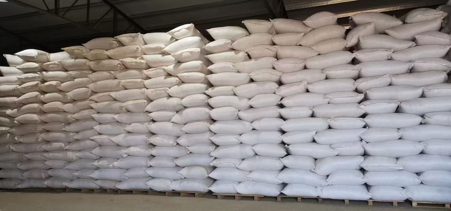 Dodder Seed Tu Si Zi 500g Dried Cuscuta Seeds for Wine Infusion Soup and Decoction in use
