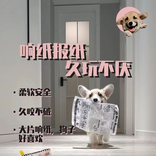 Pet dog toy resistant to chewing and molaring, self-pleasure and boredom relief artifact, sound newspaper toy
