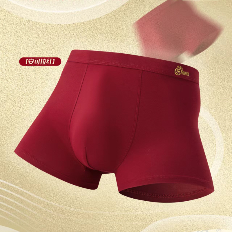 601 앙콜라 레드