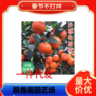 ������Ʒ�N091�o�џo���ָ����ָ̘������޽������ϱ��Nֲ����