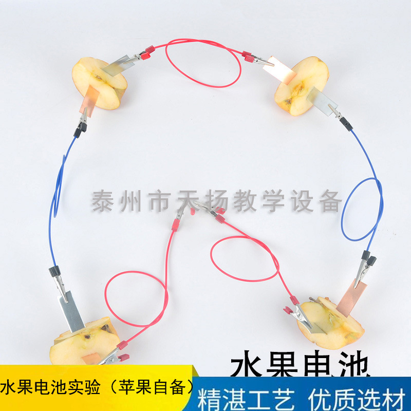 Fruit Power Generation Experimental suit Student Science and Technology Small Production Fruit Battery Experimental suit Children's Primary School Teaching Ads