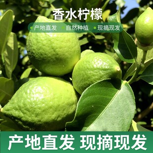 �a�����l���ڏV�|��ˮ�����̲茣�þ��xһ��5�����r�o��������