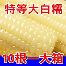 Ŵ��ʳ���r��Ֆ|���������װ����״���ܛ�b��Ŵ����ճ������Fժ