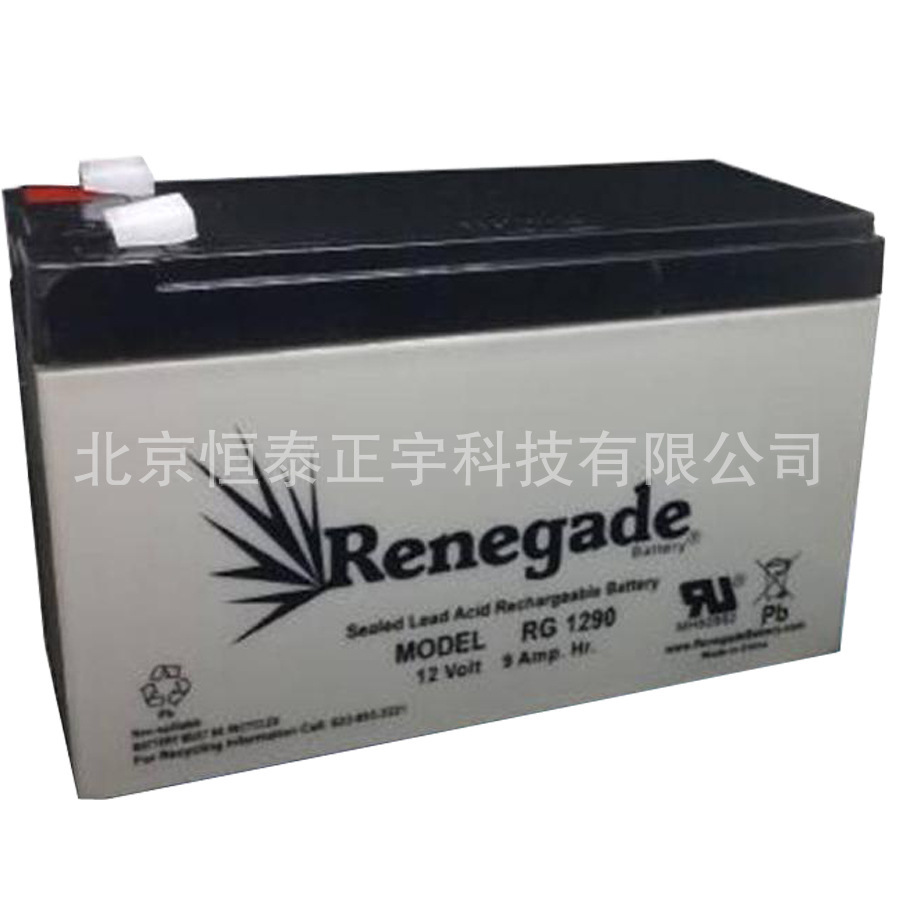 RENEGADE蓄电池RG1250 12V5AH消防照明 UPS电源配套 EPS直流屏