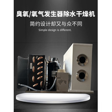 臭氧发生器制氧机去水除水干燥机冷冻式干燥机过滤水分设备
