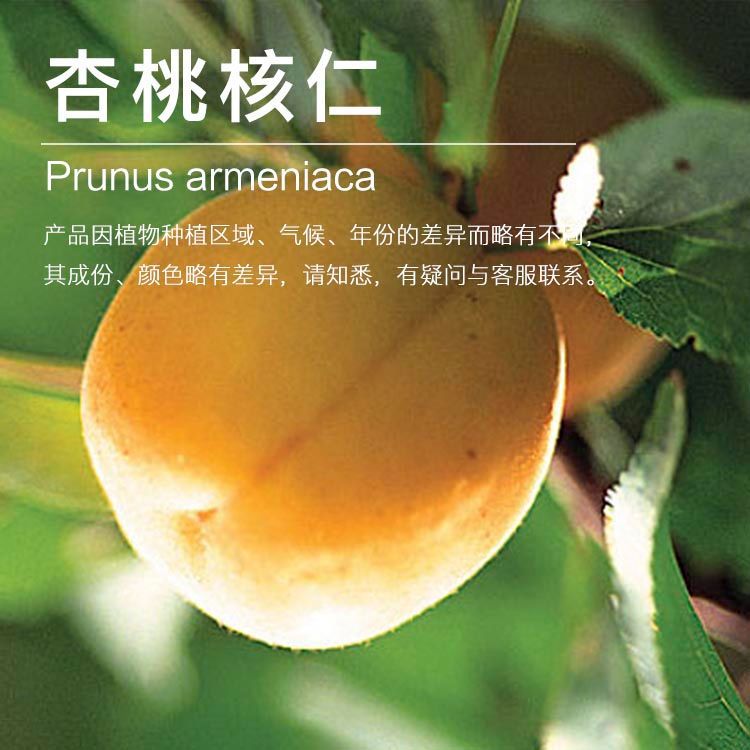 ������������������ե������ �Ӻ����� ������ԭ������ ��ӭ�ɹ�