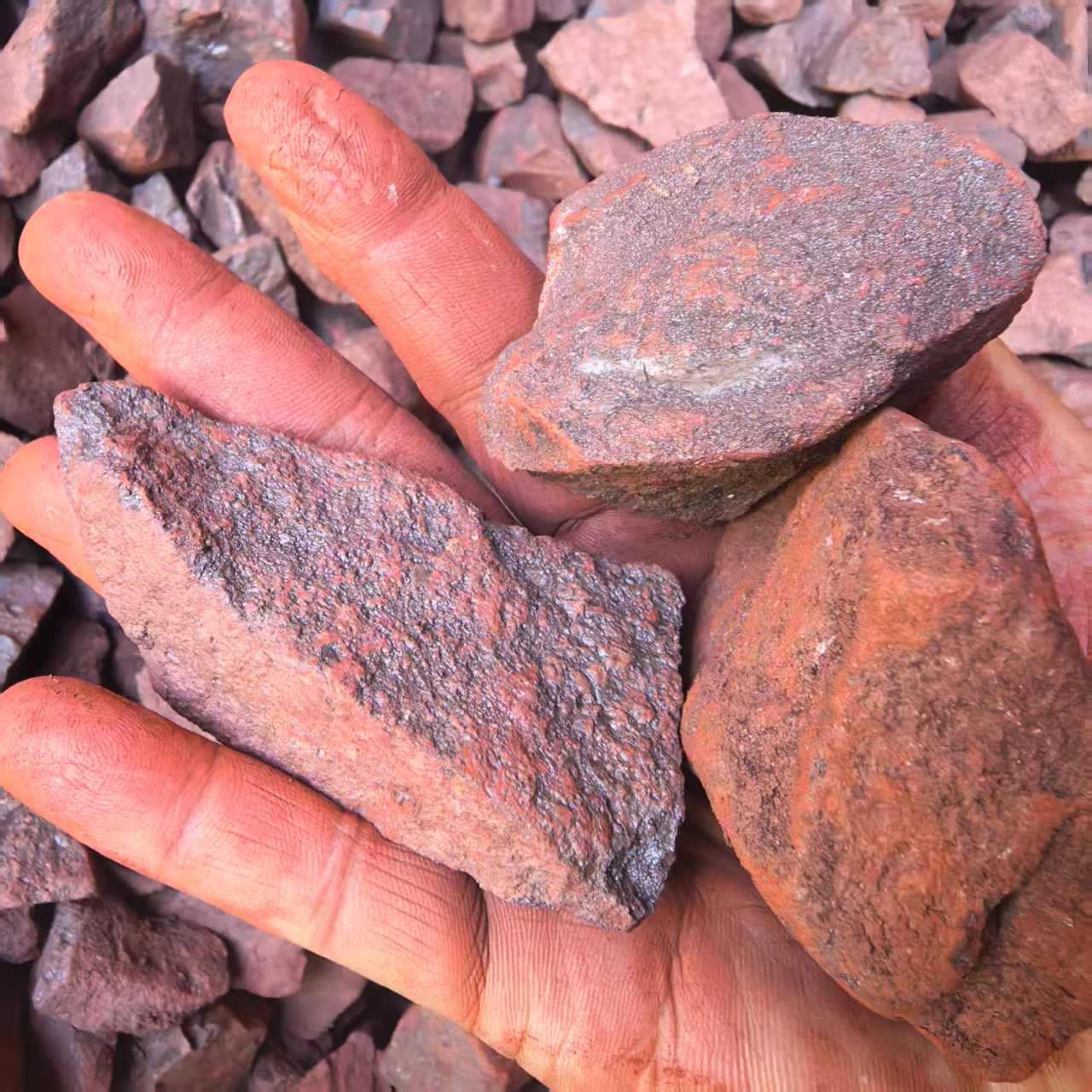 微信图片_20250507104307