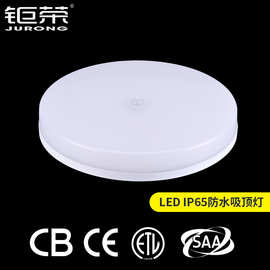 CE认证ip65防水吸顶灯雷达感应走廊阳台现代简约灯三防灯