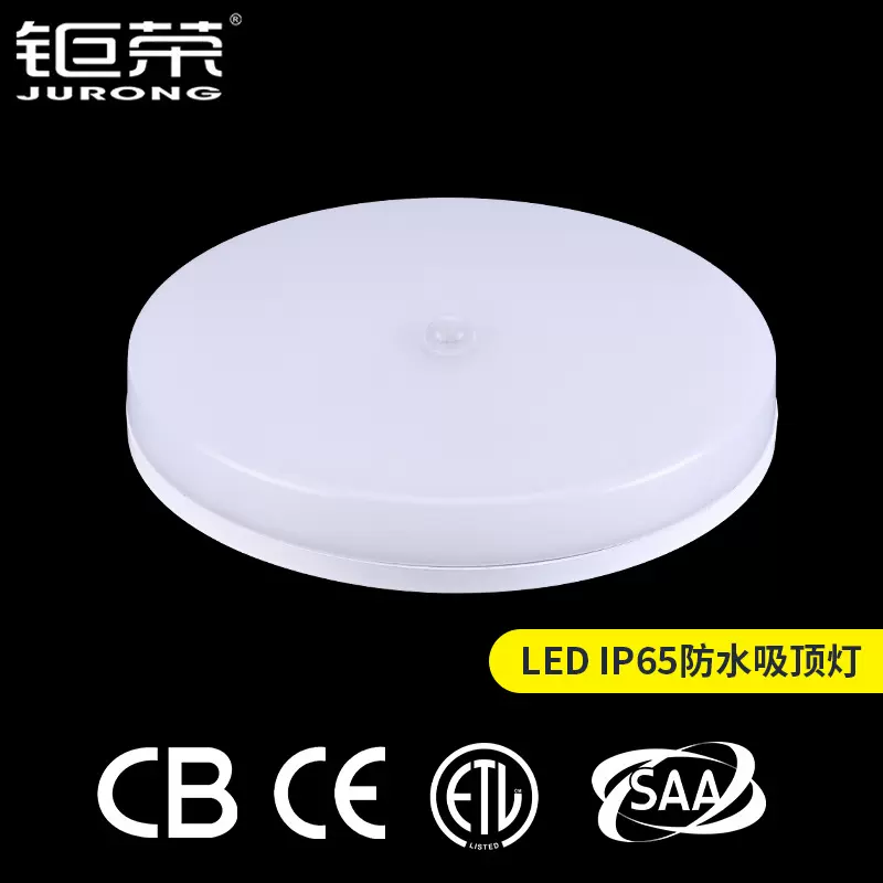 CE认证ip65防水吸顶灯雷达感应走廊阳台现代简约灯三防灯