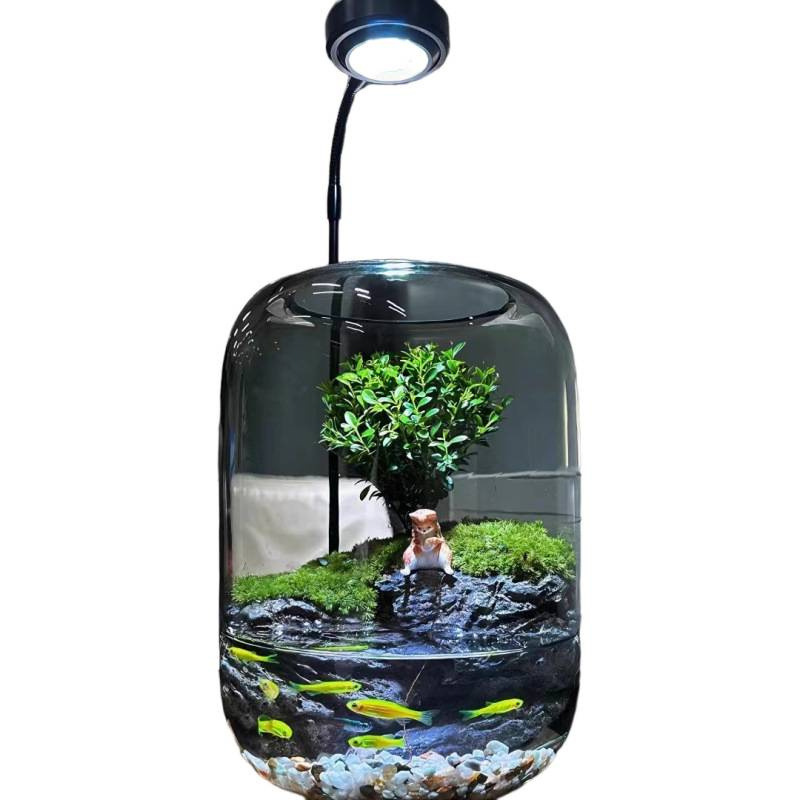 生态瓶微景观鱼小型小鱼缸桌面造景观赏鱼虾diy创意生态鱼缸|undefined